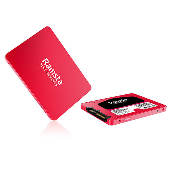 Ramsta 1TB SATA SSD